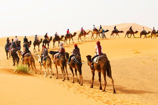 15 Days Fes to Marrakech Ultimate Journey